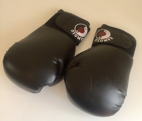 Kamosu karate kick boxing - kick,