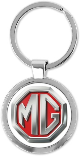 Logo keyring key chain - key,