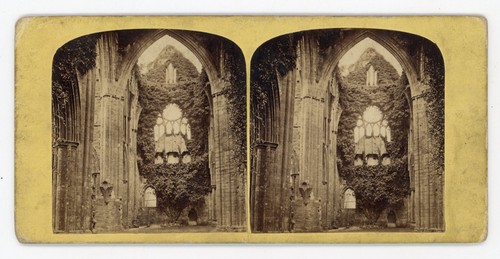 Stereoview stereoscope card - stereoview,