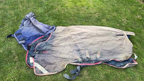 Blue amigo bravo 250g - bravo, 12