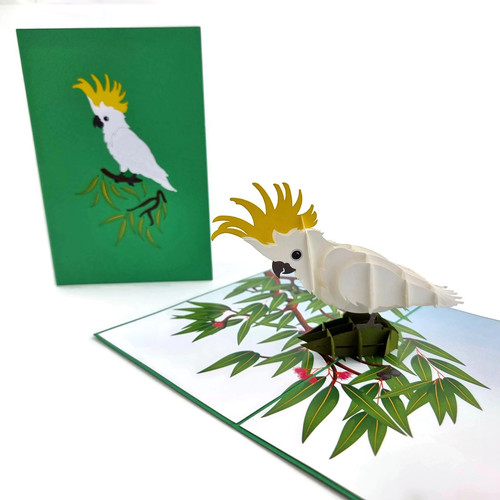 Sulphur crested cockatoo - crested, pop