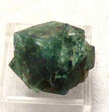 Green Zoned Fluorite Twin