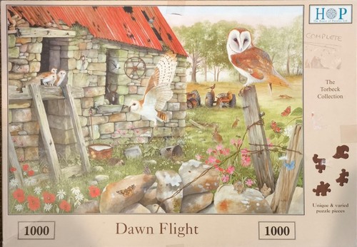 House puzzles dawn - house, flight