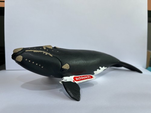 Schleich whale north - whale,