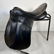 Kieffer Zugspitze Dressage