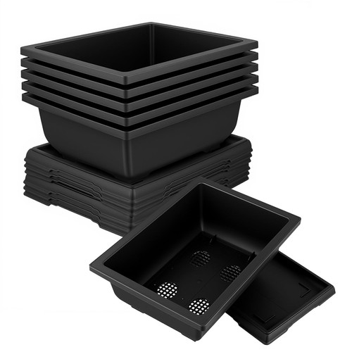 Pack inch plastic bonsai - pack,