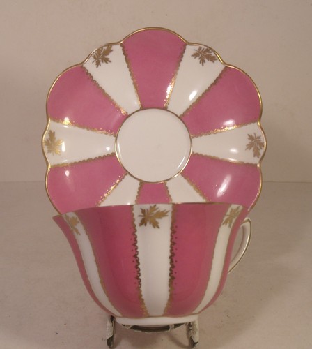 Shelley dainty pink and - dainty,