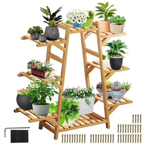 Tier bamboo plant - bamboo,