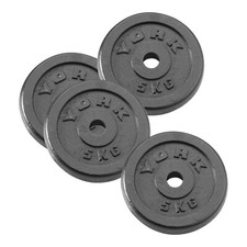 York 1" Cast Iron Weight Plates for Standard 1 Inch Barbells &  Dumbbell Bars