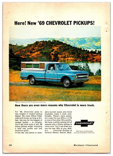 1969 chevy fleetside pickup - 1969,