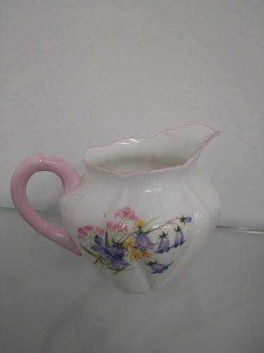 Shelley dainty pink wild - dainty,