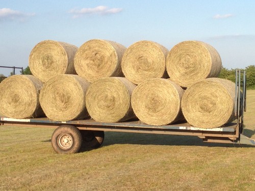 Hay bales - hay,