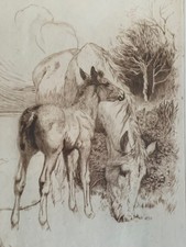 LUCY KEMP-WELCH MARE & FOAL