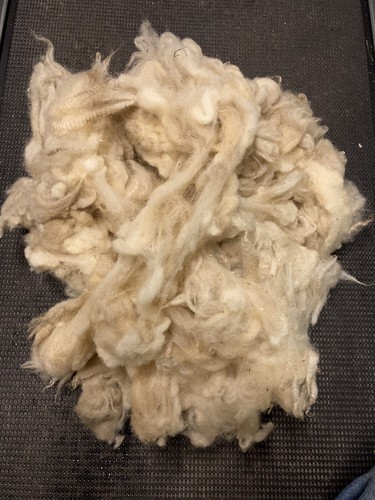Raw sheep wool weaving - -, 100%