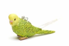 Budgie Necklace Miniblings