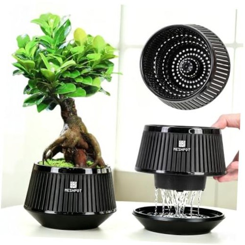 Bonsai pots with drainage tray - pots,