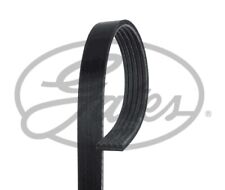 New V-Ribbed Belt for