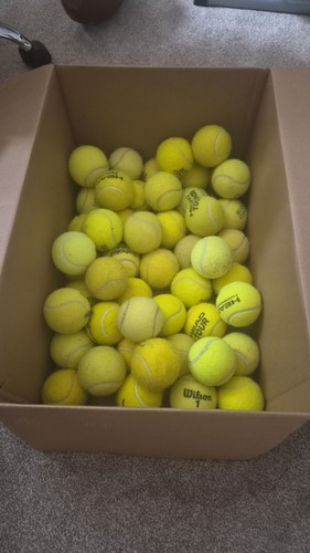 Used tennis balls - 50,