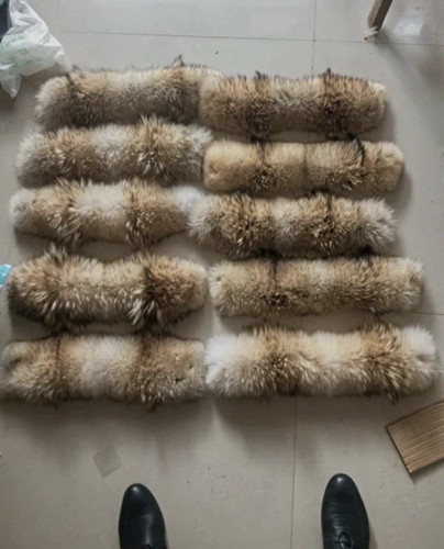Coyote fur trim luxury - coyote,