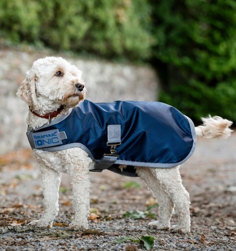 Horseware ionic therapy dog - therapy,