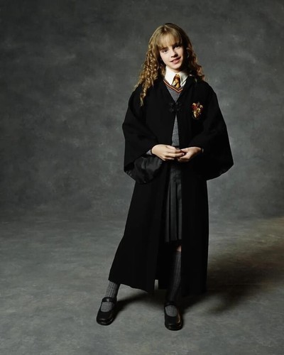 Iconic memorabilia harry - iconic,