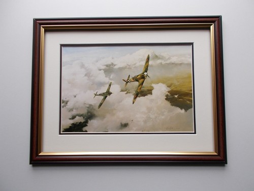 Aircraft print framed duel - aircraft, of
