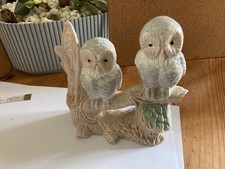 2 owls perched on a branch