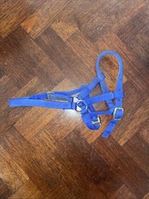 Blue Miniature Shetland Head