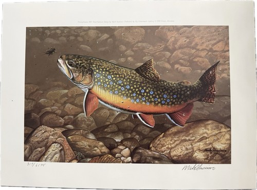 Mark susinno 1990 pennsylvania - mark,