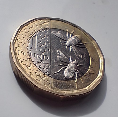 2025 one pound coin - pound,