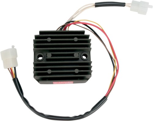 Rick motorsport electric oem - motorsport,