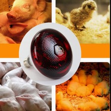 Poultry Waterproof  Heat Lamp Infra Red Heat Lamp Hatching Puppies Piglet Bulb