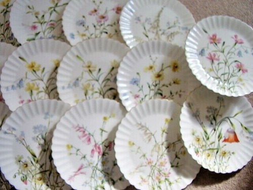 Bodley burslem england - e,