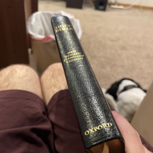 1989 the holy - 1989, bible: