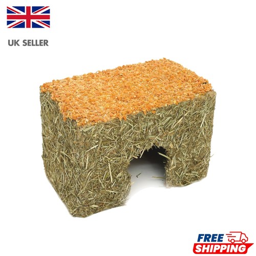 Pet friendly natural carrot - natural,