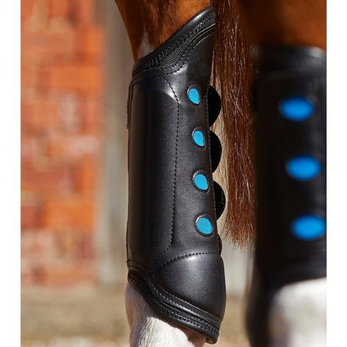 Premier equine air cooled - premier,
