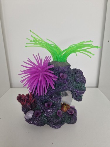 Reef and rock with silicon - reef,