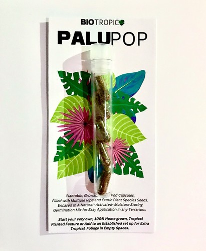 Biotropic palupop - palupop, (5pk)