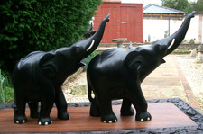 LARGE 8.6kg/19lb PAIR OF