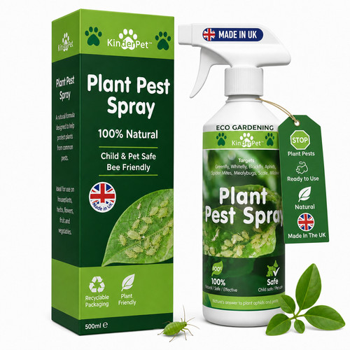 Plant pest spray organic - plant,