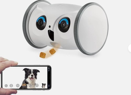 Skymee owl robot - skymee,