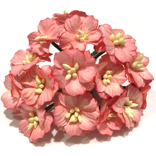 Salmon pink mulberry - pink, paper