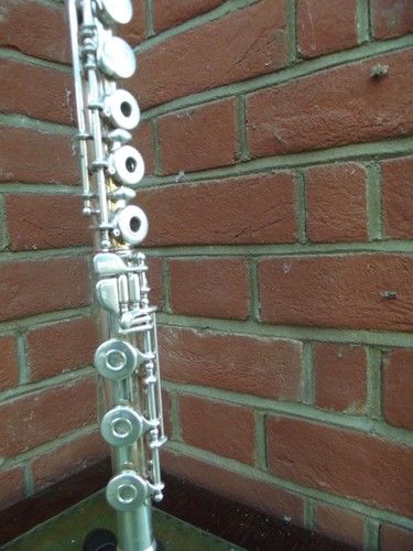 Flute musical instrument - flute,