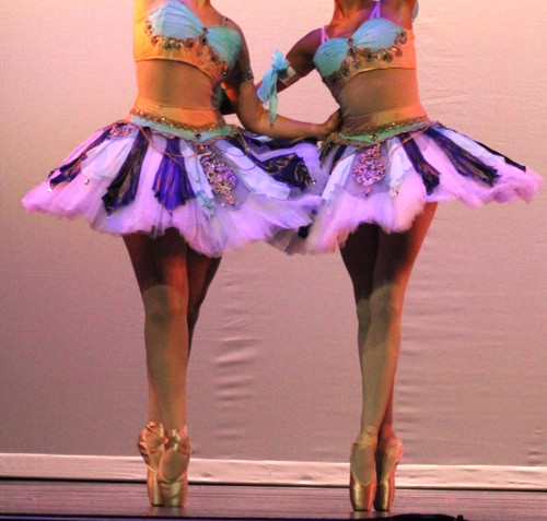 Professional platter ballet - professional,