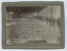 Fraserburgh Fish Market Fishermen Buyers Skate c1920s Photo Scotland 