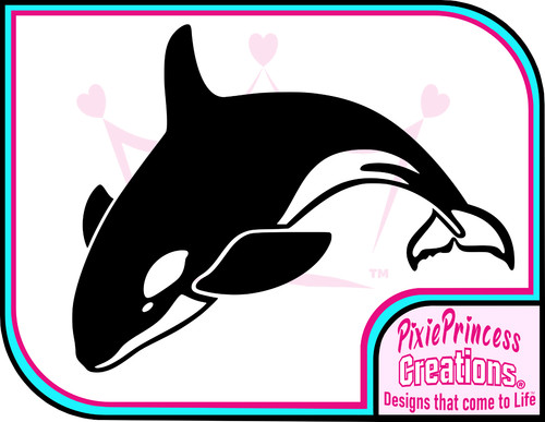 Killer whale sea ocean - whale,