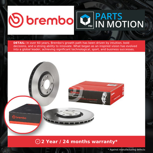 Brake discs pair - discs, vented