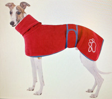 Greyhound / Whippet & Lurcher