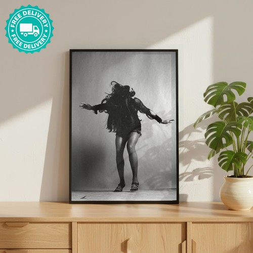Tina turner rock - turner,