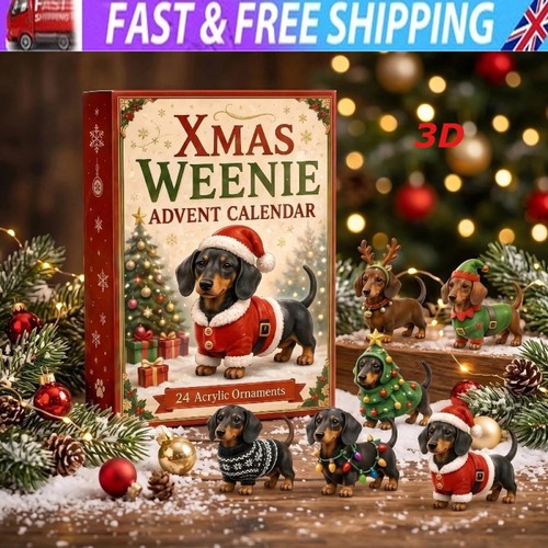 Dachshund dog christmas advent - dog,